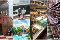 Family Fun in Branson: Top Activities for All Ages