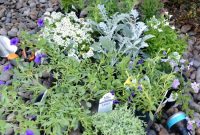 Creative Container Gardening Ideas and Practical Tips for Every Space