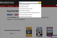 Live Search Analytics for SearchWP: Real-Time Metrics Overview
