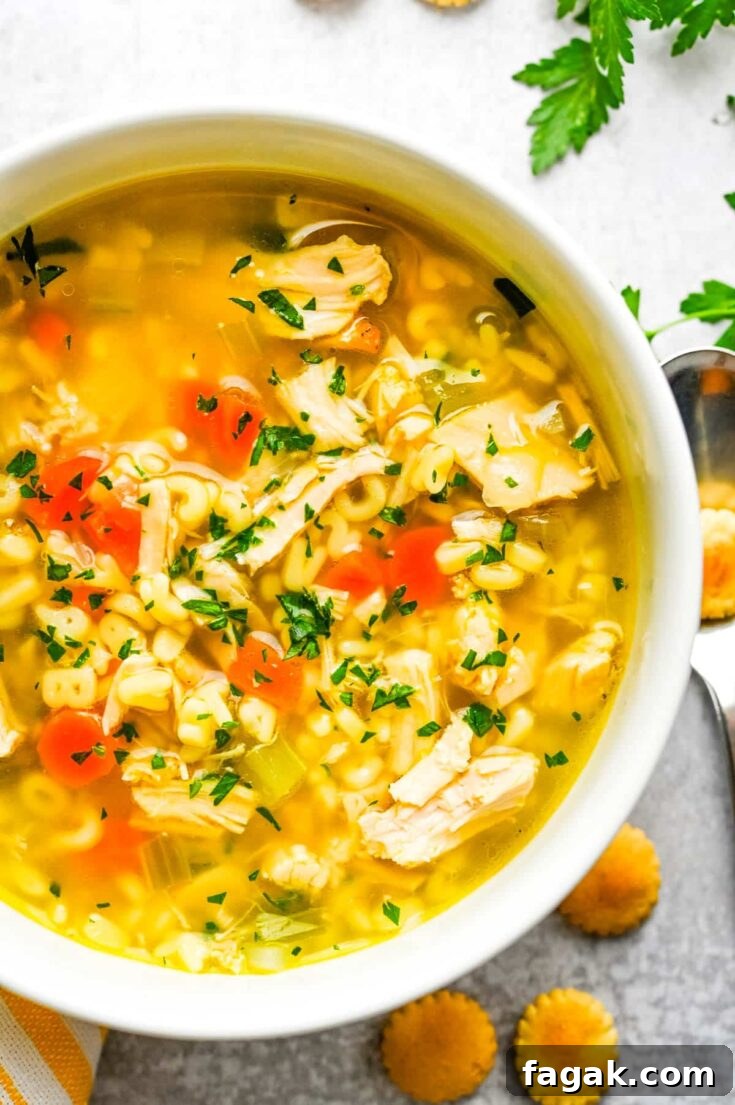 A bowl of turkey alphabet soup.