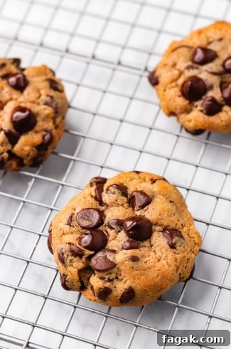 Chocolate Chip Protein Cookies