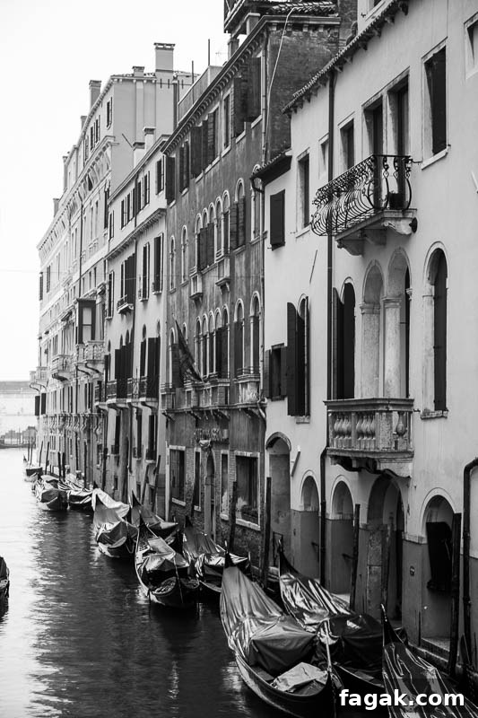 Venice Canal