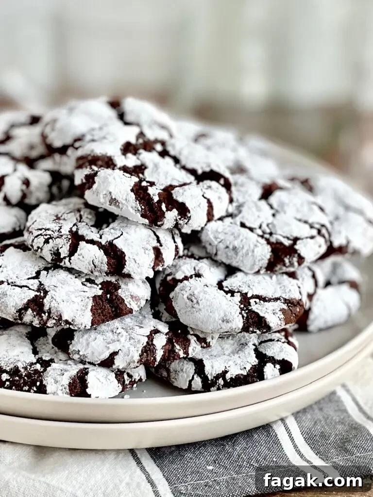 A white place full of dark chocolate cookies with powdered sugar over them .