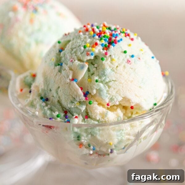 Glass bowl filled with two scoops of birthday cake ice cream with small sprinkles all over the top.