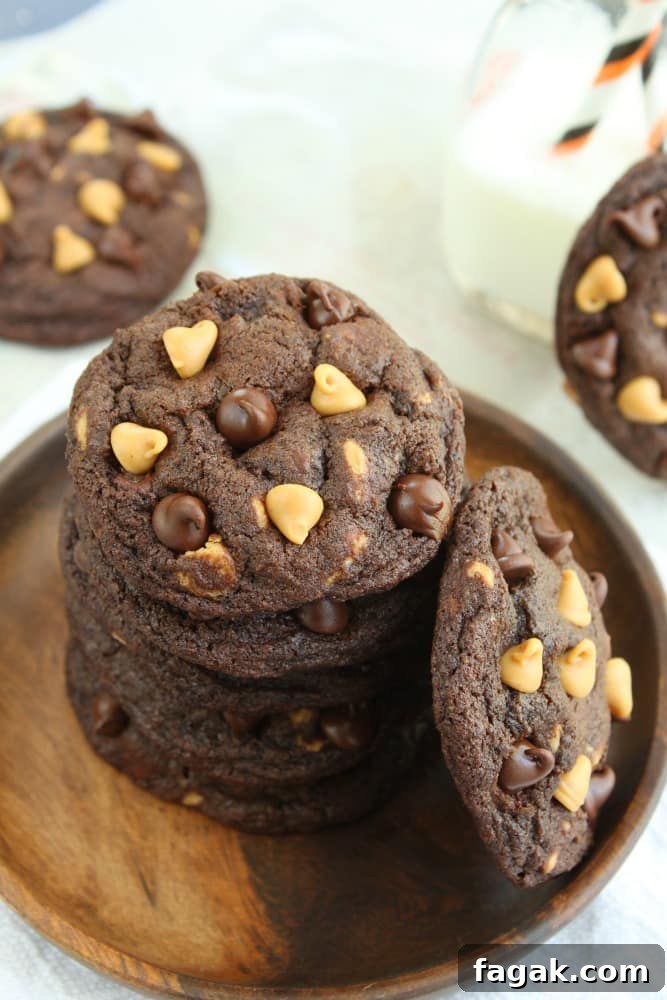 Craving chocolate chip cookies? Try these soft and chewy peanut butter chocolate chip cookies! They come together in less than 30 minutes! 