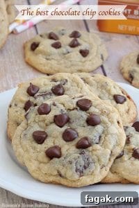 the-best-chocolate-chip-cookies-recipe-1