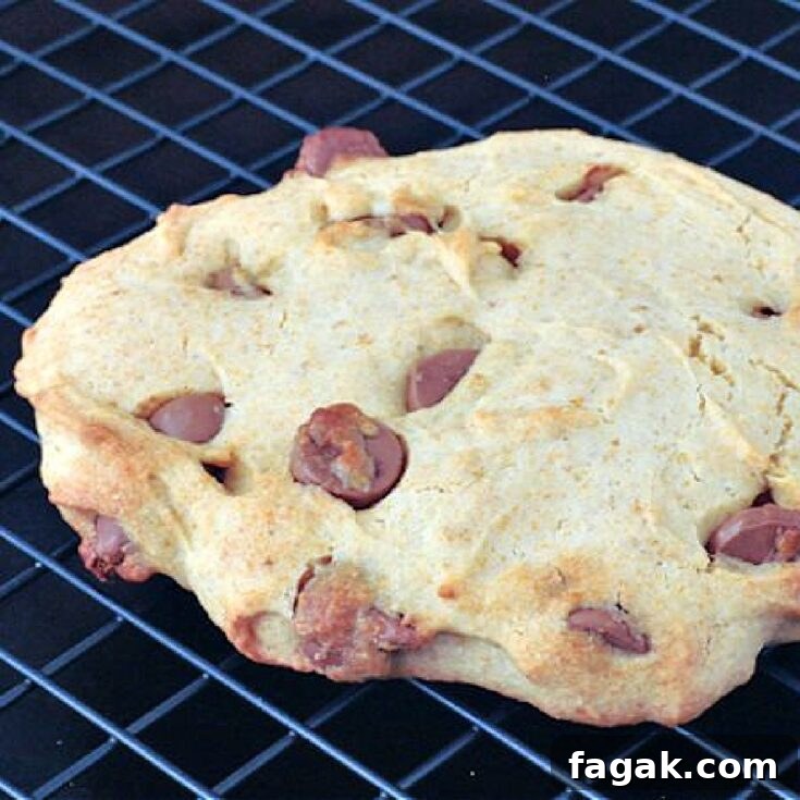 A single serve chocolate chip cookie on a wire cooling rack.