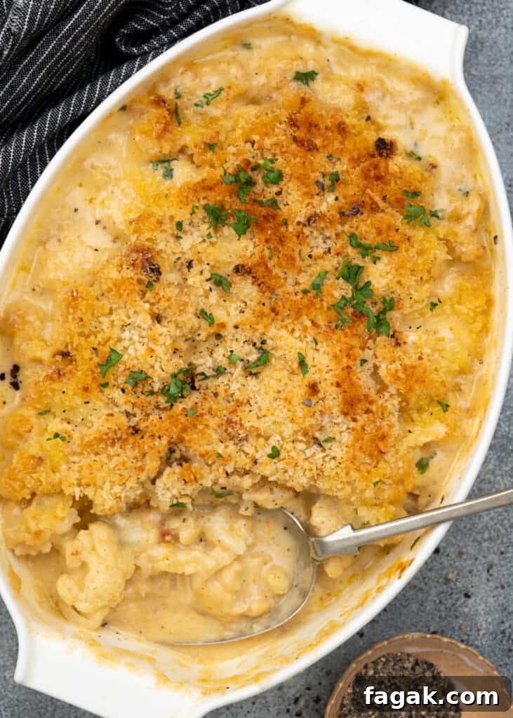 Top crunchy crust on top of cauliflower florets baked in a creamy, cheesy sauce.