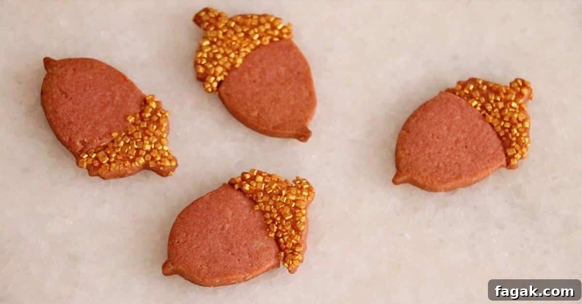 acorn cookies