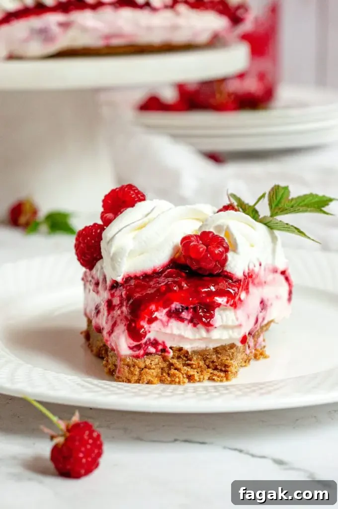 A vegan raspberry no-bake cheesecake topped with raspberry sauce and fresh raspberries.