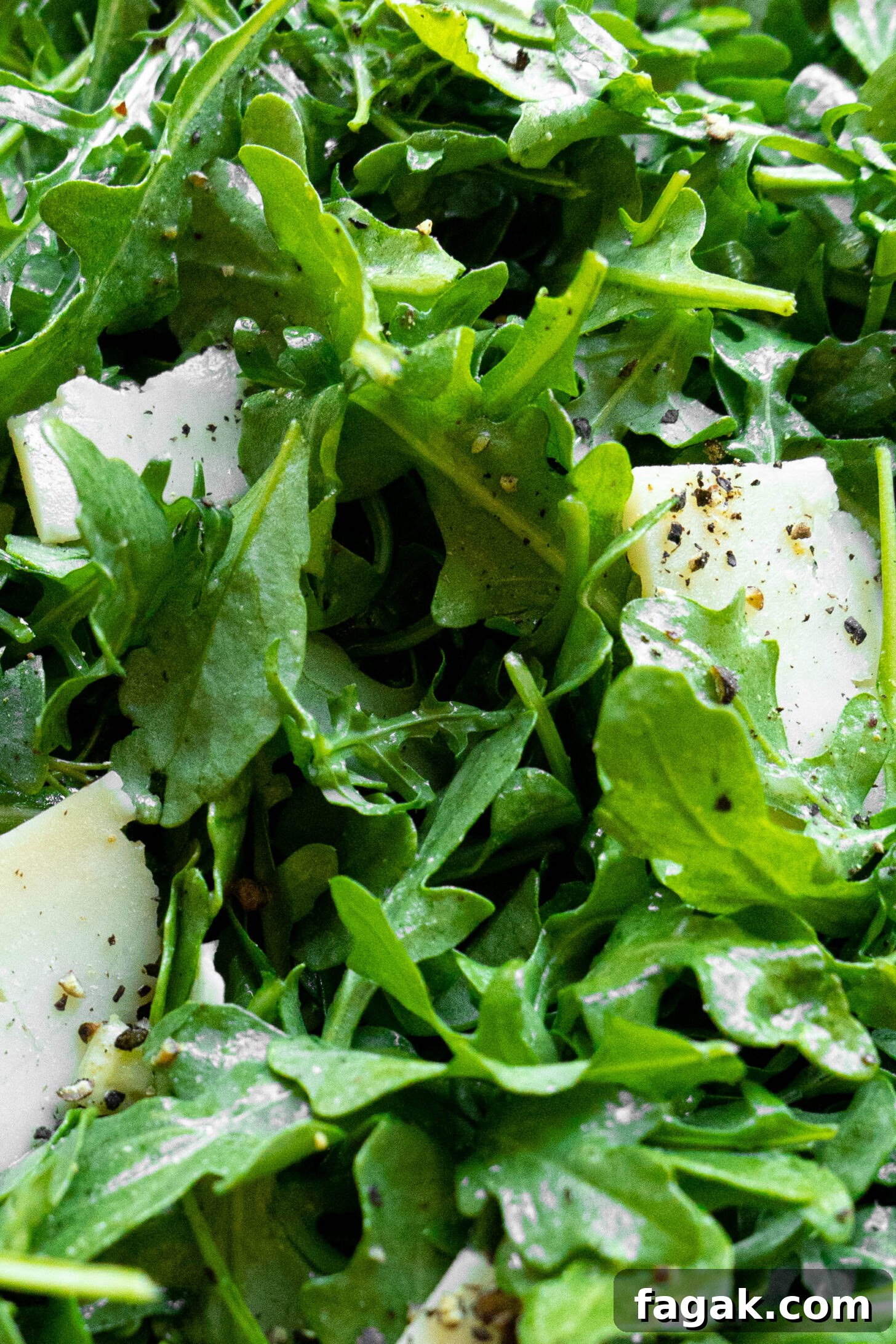 Citrus Arugula Salad with Lemon Vinaigrette 2 Arugula with cracked pepper and shaved parmesan.
