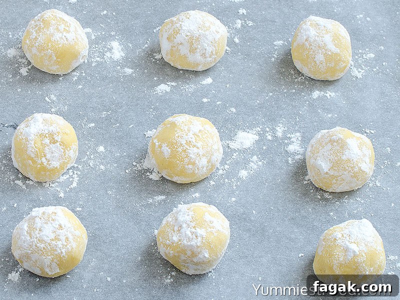 Citrus Glaze Lemon Sugar Cookies: Bright, Zesty Treats 3 Preparing Sugar Cookies - Step 1