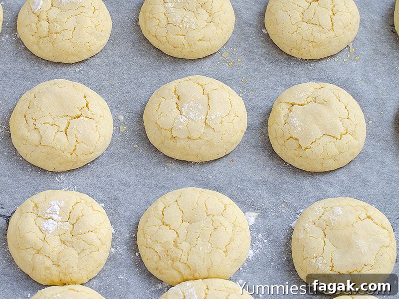 Citrus Glaze Lemon Sugar Cookies: Bright, Zesty Treats 4 Preparing Sugar Cookies - Step 2