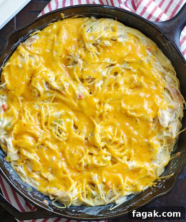 One-Pan Chicken Spaghetti Skillet Recipe for Quick Dinners 2 Skillet Chicken Spaghetti