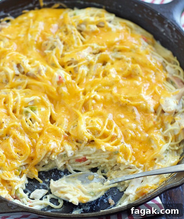 One-Pan Chicken Spaghetti Skillet Recipe for Quick Dinners 3 Skillet Chicken Spaghetti ingredients