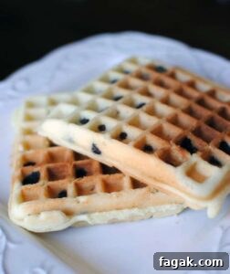 chocolate-chip-belgian-waffles Chocolate chip Belgian waffles. Fluffy Belgian waffles studded with chocolate chips.