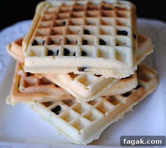 belgian-waffles-with-chocolate-chips Chocolate chip Belgian waffles. Fluffy Belgian waffles studded with chocolate chips.