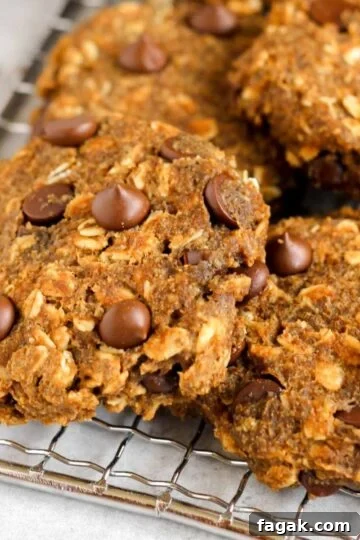 Pumpkin breakfast cookies with chocolate chips on a wire cooling rack.