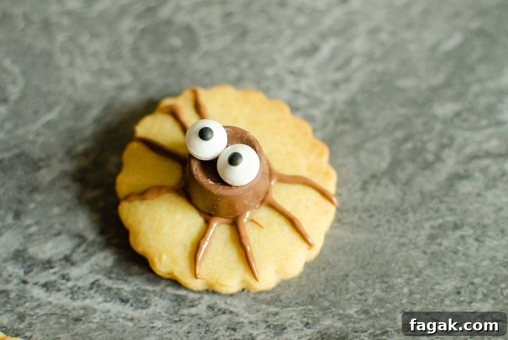 Cute Spider Halloween Biscuit on marble worktop