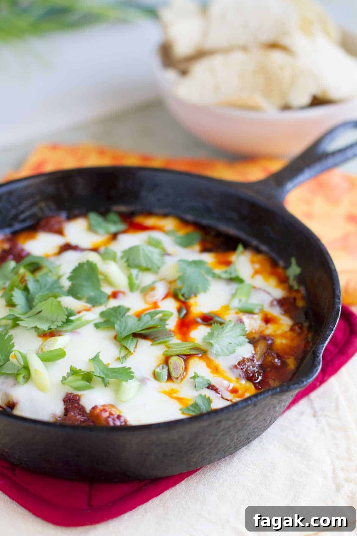 Cast iron skillet with Mushroom and Chorizo Queso Dip topped with green onions and cilantro.