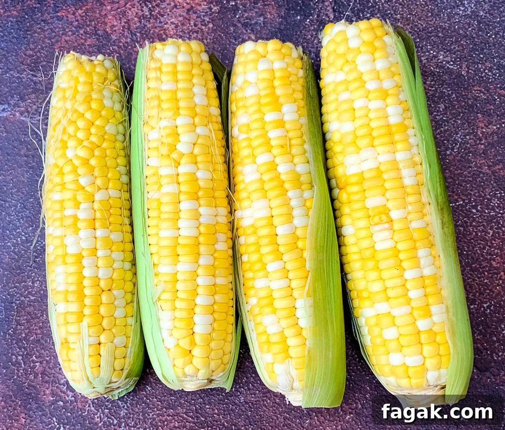 raw corn on the cob in the husk