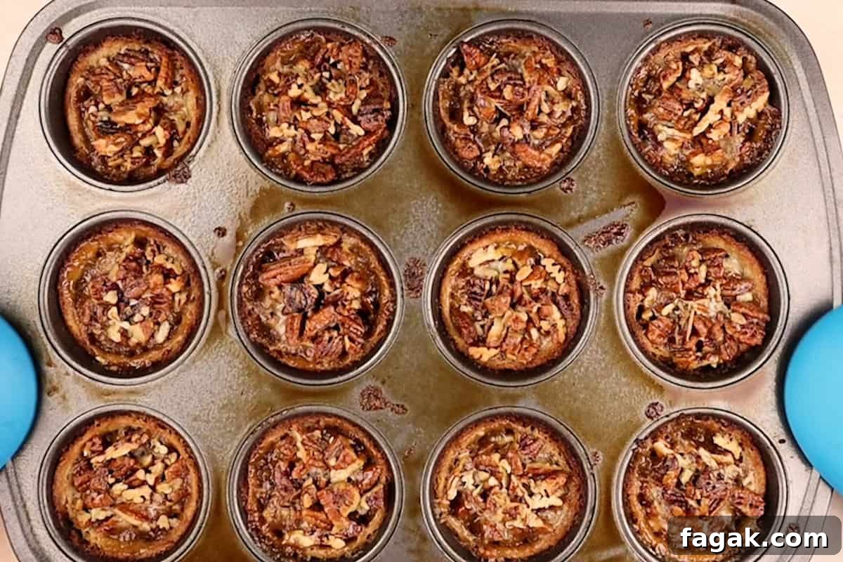 Mini pecan pie tarts, fully baked, still in muffin tin.