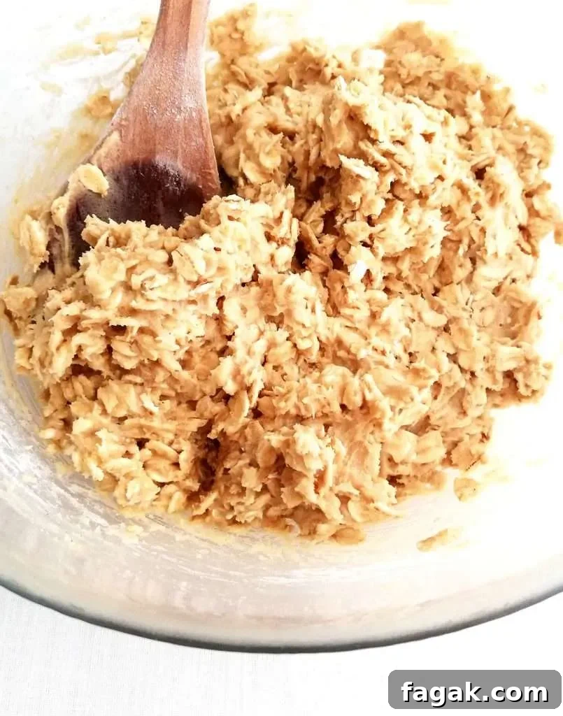 oatmeal cookie dough in bowl close up