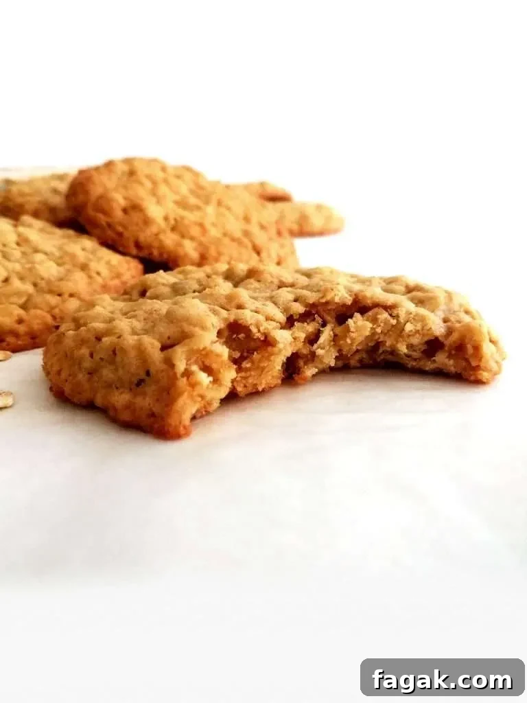 oatmeal cookies bitten head on view
