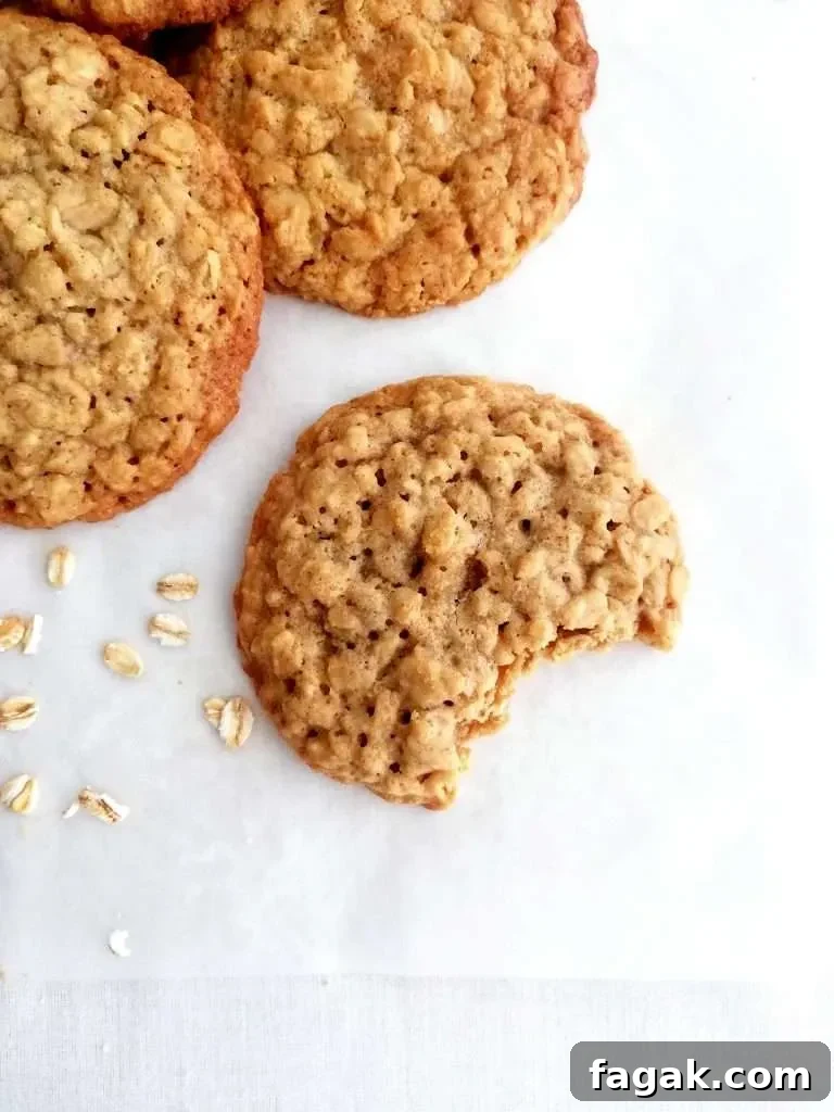 oatmeal cookies one cookie bite missing