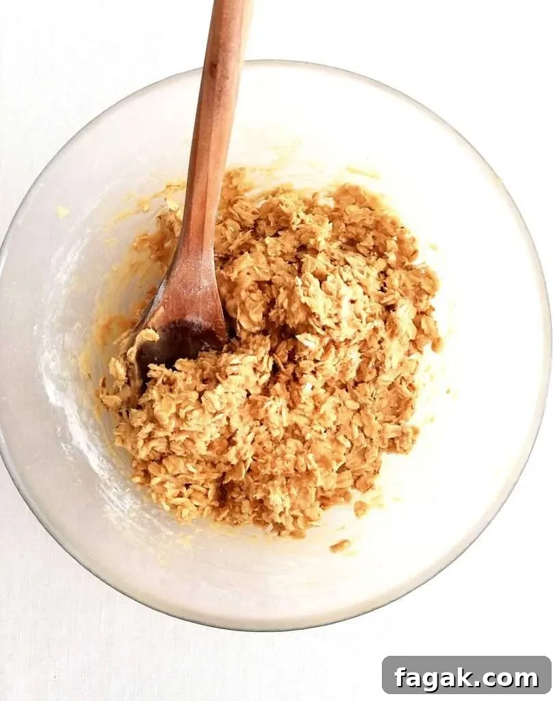 oatmeal cookie dough in bowl overhead image