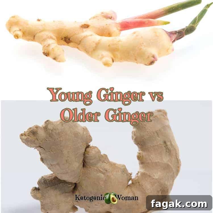 Young Ginger and old ginger to show the difference