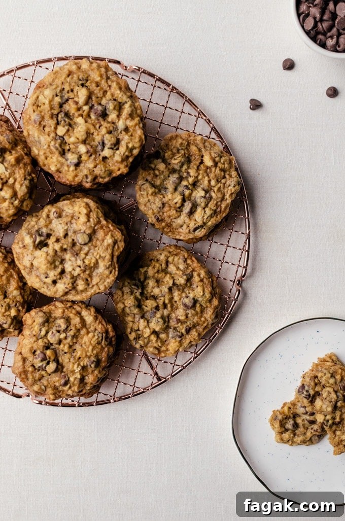 Malted chocolate chip oatmeal cookies with hazelnuts. These chewy cookies are a favorite in our family.