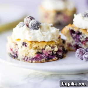 Blueberry Biscuits
