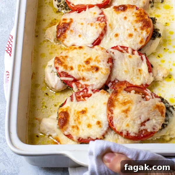 Pesto chicken bake