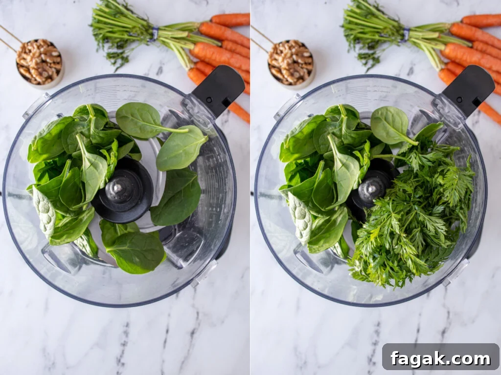First steps of adding spinach and carrot greens to a food processor for making carrot top pesto.