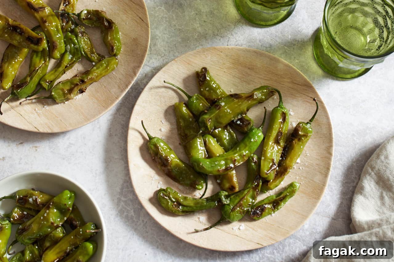 Two plates and a bowl of blistered shishito peppers.