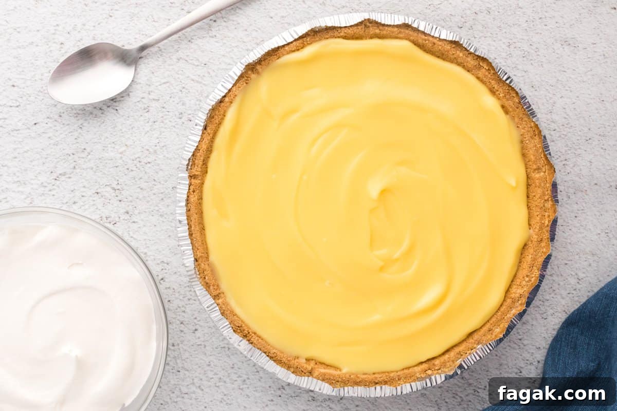 graham cracker crust filled with pudding.
