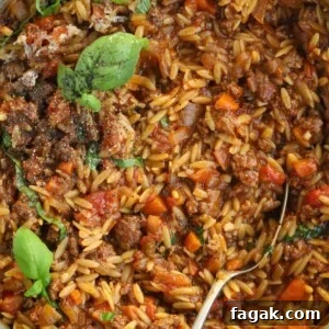 One-Pot Orzo Bolognese Recipe: Hearty Weeknight Dinner 9 A close up of a big dish of beef orzo with bolognese.
