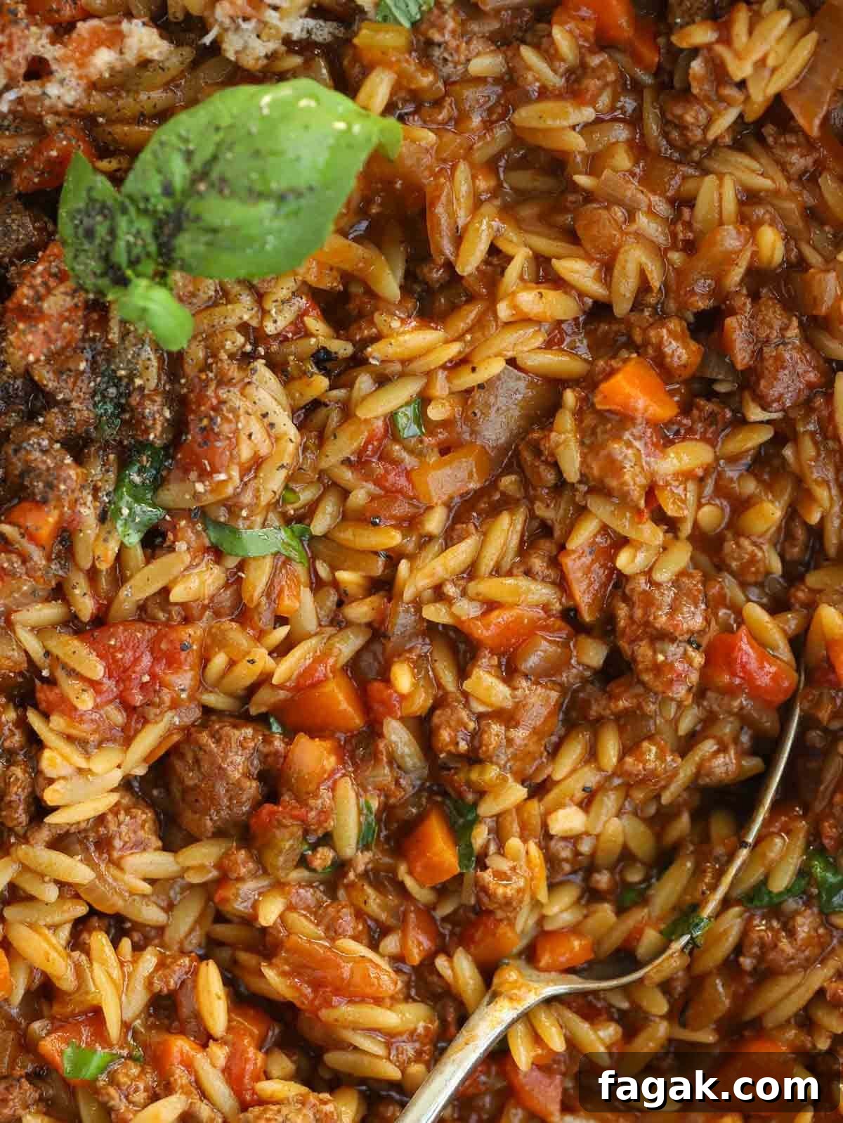One-Pot Orzo Bolognese Recipe: Hearty Weeknight Dinner 3 Close up of cooked tomatoes, orzo pasta, beef mince and basil.