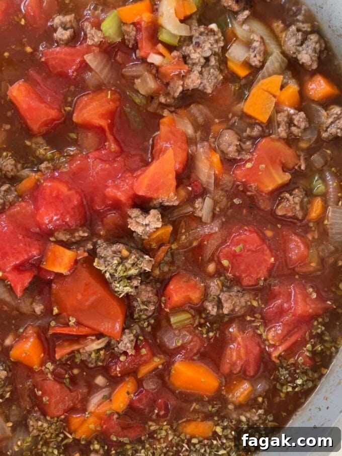 One-Pot Orzo Bolognese Recipe: Hearty Weeknight Dinner 6 Tomatoes, carrots, mince beef, cooking in a pan together.