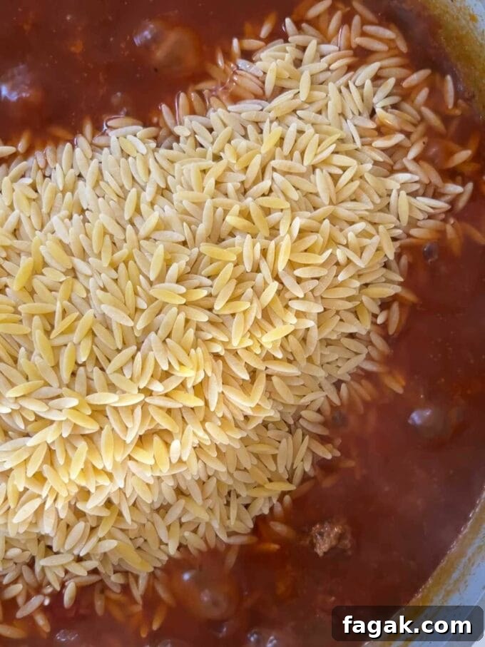 One-Pot Orzo Bolognese Recipe: Hearty Weeknight Dinner 7 Dried orzo poured into a big pan of tomato sauce with mince beef.