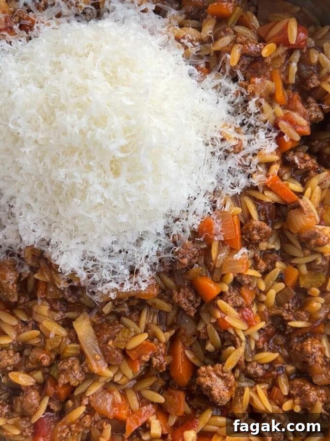 One-Pot Orzo Bolognese Recipe: Hearty Weeknight Dinner 8 Parmesan on top of a pan of bolognese with orzo pasta.