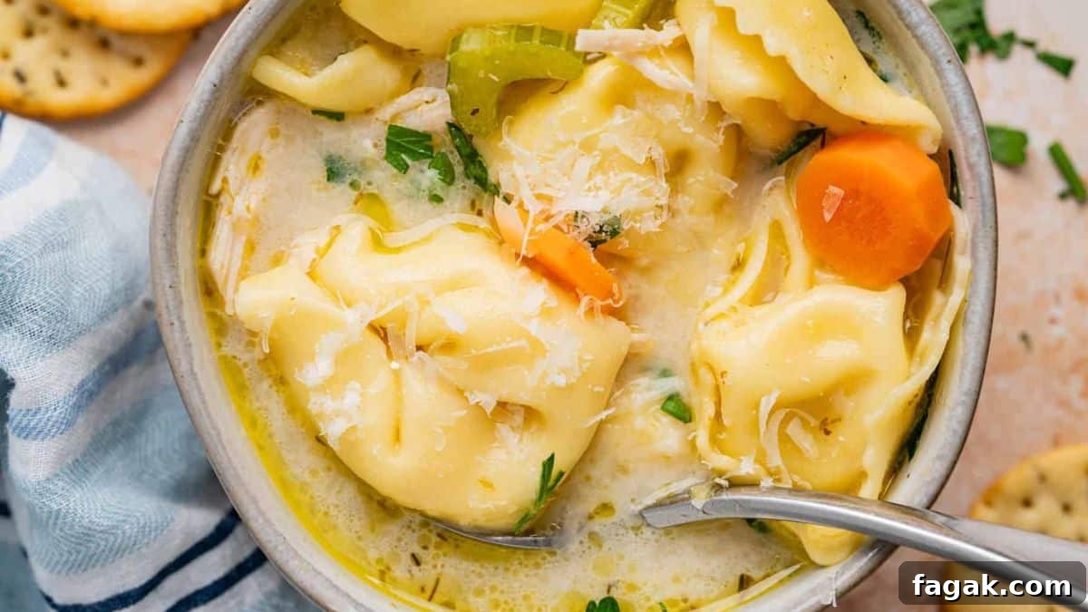 A serving of Chicken Tortellini Soup.