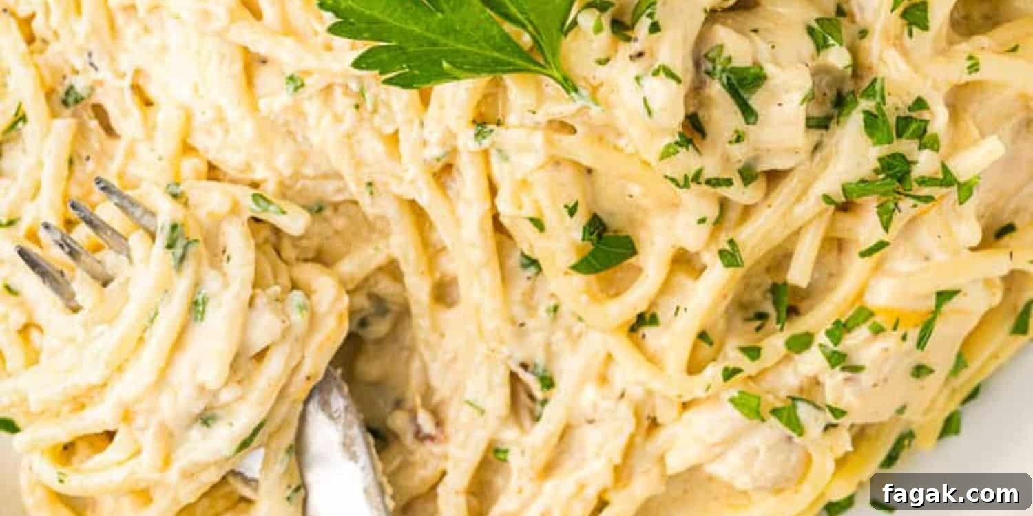 Easy Chicken Tetrazzini Recipe