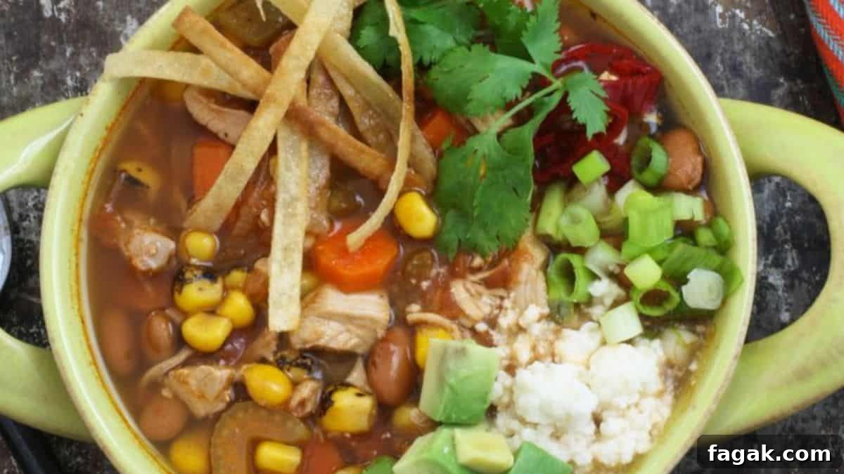 Mexican Chicken Soup