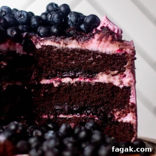 chocolate blueberry cake