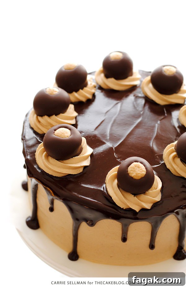 Decadent Chocolate Cake with Peanut Butter Frosting 3 Chocolate Peanut Butter Cake - moist chocolate cake paired with peanut butter frosting and filling, topped with drippy chocolate ganache and homemade peanut butter balls, aka buckeyes | Carrie Sellman for TheCakeBlog.com