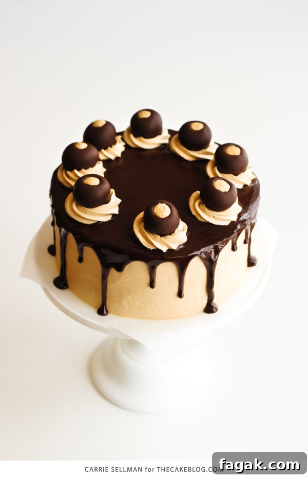 Decadent Chocolate Cake with Peanut Butter Frosting 4 Chocolate Peanut Butter Cake - moist chocolate cake paired with peanut butter frosting and filling, topped with drippy chocolate ganache and homemade peanut butter balls, aka buckeyes | Carrie Sellman for TheCakeBlog.com