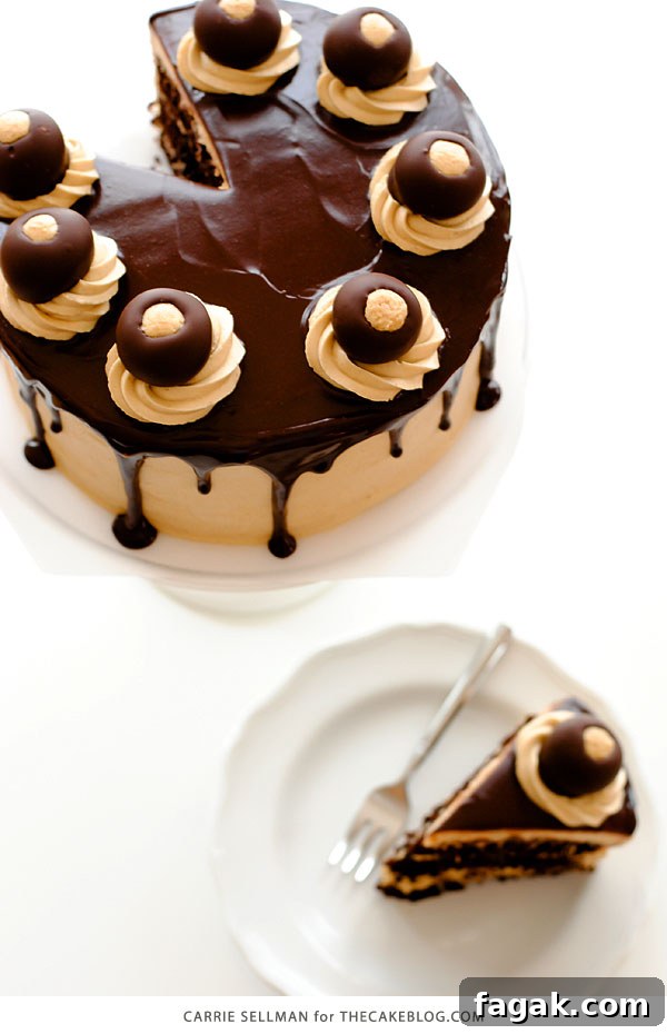 Decadent Chocolate Cake with Peanut Butter Frosting 5 Chocolate Peanut Butter Cake - moist chocolate cake paired with peanut butter frosting and filling, topped with drippy chocolate ganache and homemade peanut butter balls, aka buckeyes | Carrie Sellman for TheCakeBlog.com