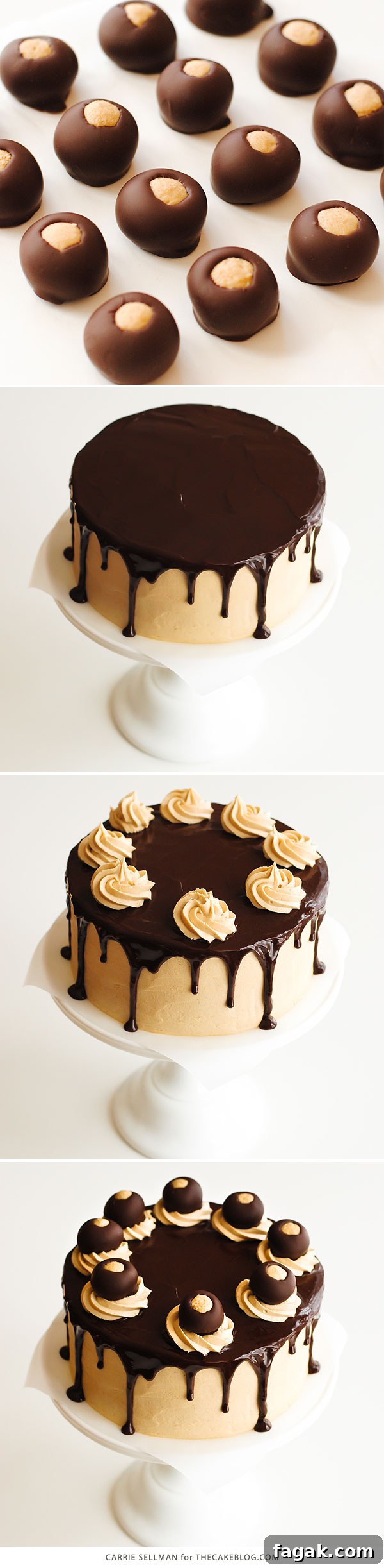 Decadent Chocolate Cake with Peanut Butter Frosting 6 Chocolate Peanut Butter Cake - moist chocolate cake paired with peanut butter frosting and filling, topped with drippy chocolate ganache and homemade peanut butter balls, aka buckeyes | Carrie Sellman for TheCakeBlog.com